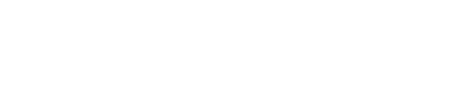 Asaleeb Plus